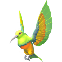 Emerald Sunbird.png