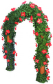 Hibiscus Arches.png