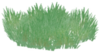 Meadow Grass.png