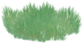 Meadow Grass.png