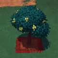 Almond Tree.png