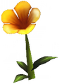 Chrysanthemum.png