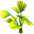 Fan-Leaf Plant.png