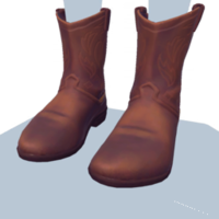 Brown Cowboy Boots.png