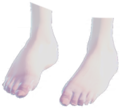 Bare Feet.png