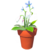 Star Lily and Falling Penstemon Pot.png