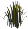 Glade of Trust Reeds.png