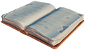 Book Glider.png