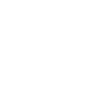 Spider Web Motif.png