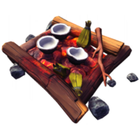 Cooking Fire Pit.png