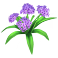 Purple Hydrangea.png