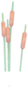 Short Cattails.png