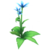 Blue Star Lily.png