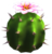 Pink Cactus Flower.png