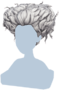 Winifred's Wig.png