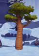 Wide Baobab Tree Tall.png
