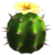 Yellow Cactus Flower.png