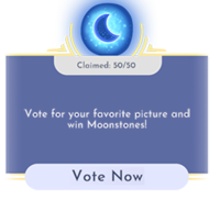Game Guide - DreamSnaps - Vote Now.png