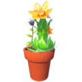 Passion Lily and Houseleek Pot.png
