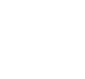 Skull Motif.png
