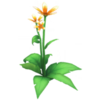 Orange Star Lily.png