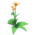 Orange Star Lily.png