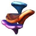 Bioluminescent Fungi.png