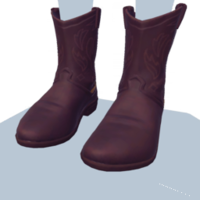 Dark Brown Cowboy Boots.png