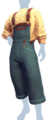 Flynn-spired Overalls m.png