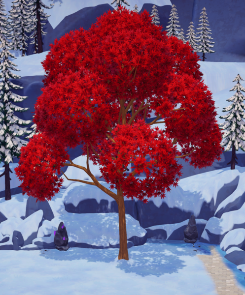 File:Short Japanese Maple Tall.png