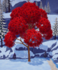 Short Japanese Maple Tall.png