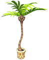 Potted Palm.png