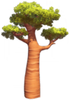 Wide Baobab Tree.png