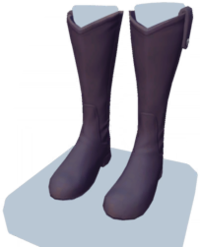 Black Knee-High Boots.png