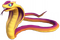 Yellow and Purple Striped Cobra.png