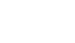 The Lion King Pattern Motif.png