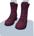 Brown Lace-Up Boots.png