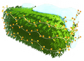 Festive Lights Bush.png