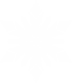Frozen Snowflake Motif.png
