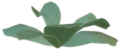 Glade of Trust Tropical Fern.png